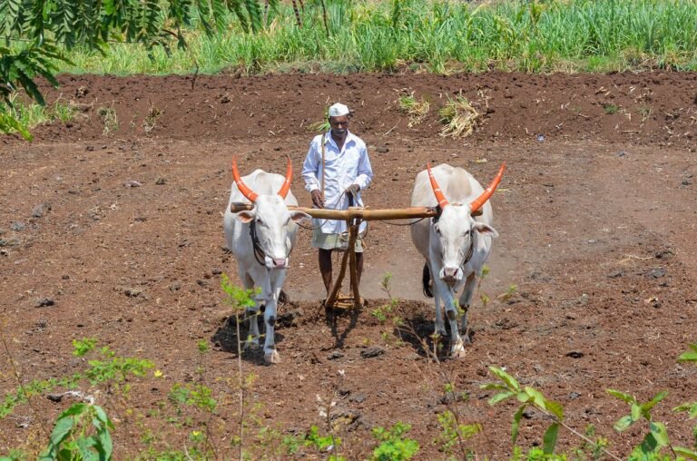 More than 100 Latur farmers get notices from Maharashtra Waqf Board over land 3 More than 100 Latur farmers get notices from Maharashtra Waqf Board over land