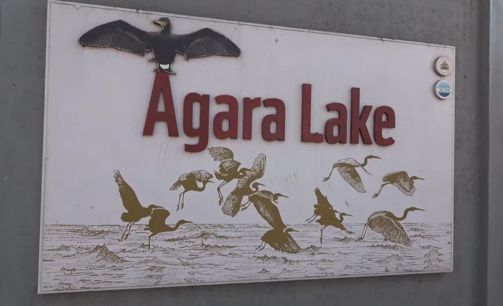 Tragic Incident: Tech Professional Takes His Life Amidst Work Pressure in Bengaluru 1 Agara Lake