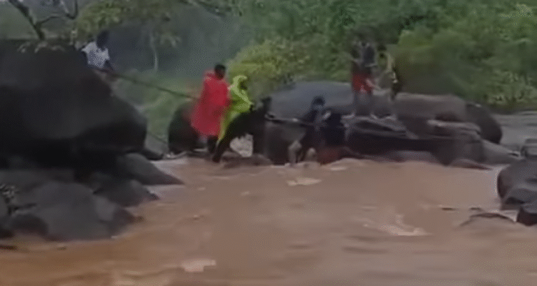 Karnataka: Brave Locals Risk All to Save Five Tourists Trapped at Eragundi Waterfall Amid Heavy Rains