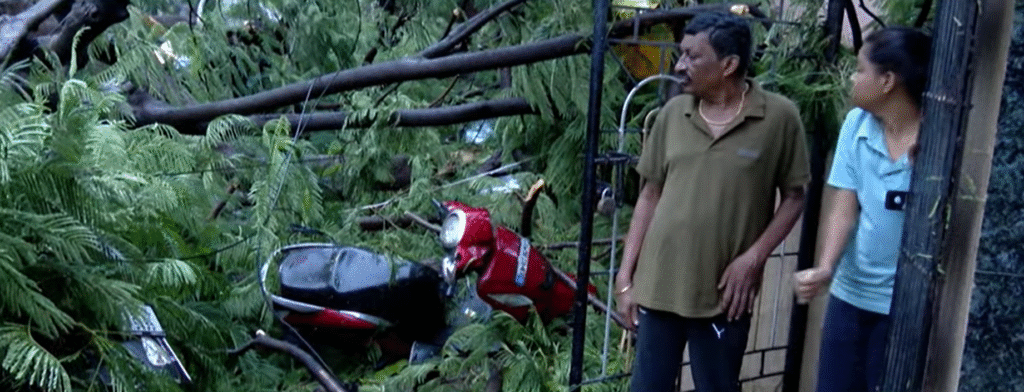 Bengaluru Rains Cause Havoc: Trees Uprooted, Roads Flooded, Vehicles Damaged in Overnight Downpour