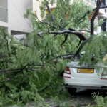 Bengaluru Rains Cause Havoc: Trees Uprooted, Roads Flooded, Vehicles Damaged in Overnight Downpour
