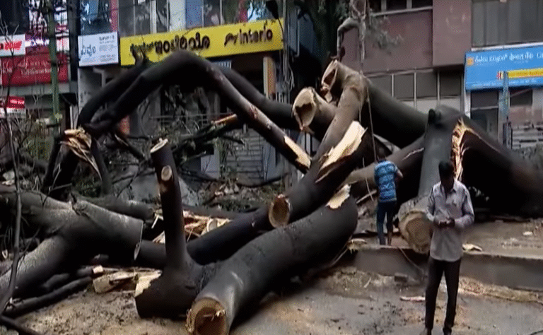 Heavy Rain Triggers Massive Tree Collapse Near Navarang Circle; Cars and Bikes Damaged, Police Begin Inspection