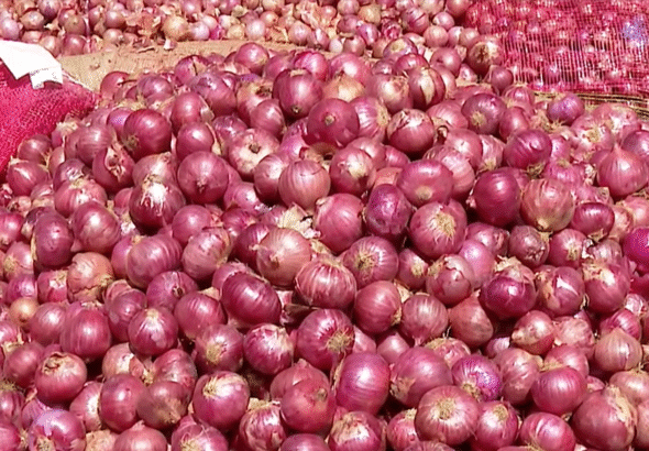 Onion