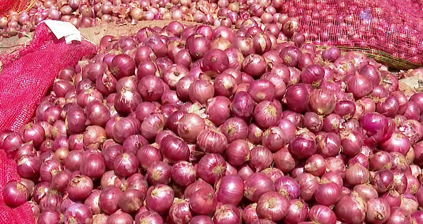 Onion Farmers in Distress as Prices Crash to ₹2 per Kg — Losses Mount Across Davangere, Bagalkote and Gadag 1 Onion