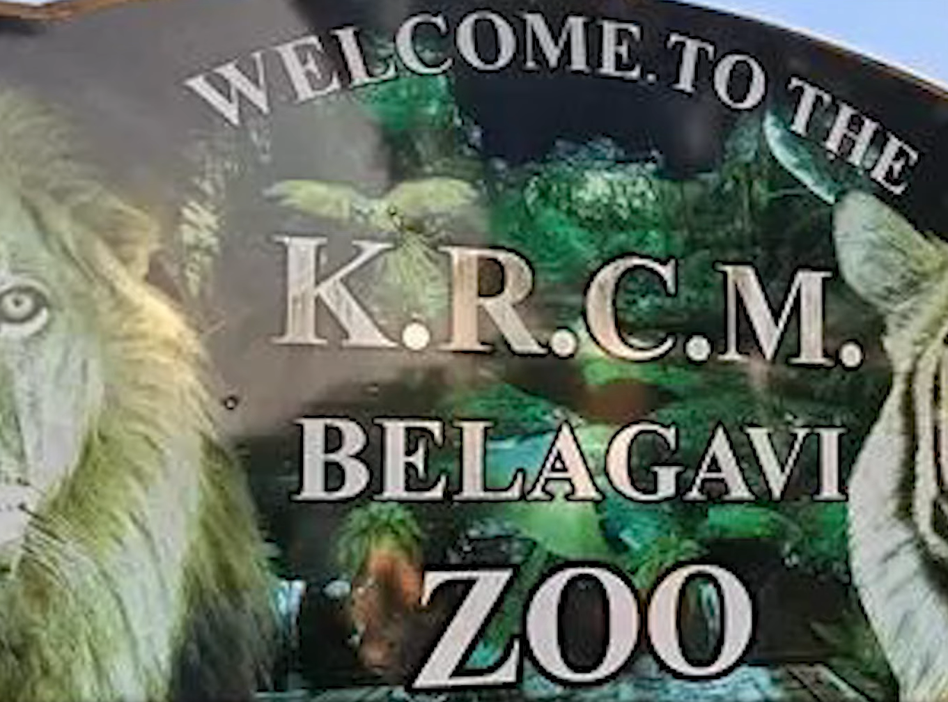 Belagavi: Another Blackbuck Death Raises Toll to 31 at Rani Chennamma Mini Zoo