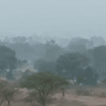 Severe Cold Wave Alert for North Karnataka: IMD Warns of Dangerous Chill in Bidar, Kalaburagi, Vijayapura, Raichur, Yadgir; Cold Wave to Continue for 2 Days