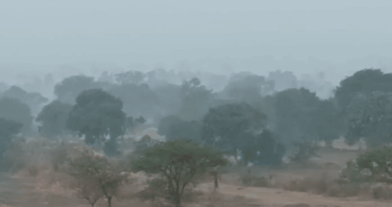 Severe Cold Wave Alert for North Karnataka: IMD Warns of Dangerous Chill in Bidar, Kalaburagi, Vijayapura, Raichur, Yadgir; Cold Wave to Continue for 2 Days