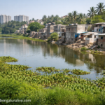 Sarakki Lake Encroachment Case: Chief Secretary Shalini Rajneesh Forms Committee, 2-Month Deadline to Submit Report