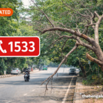 Dangerous Dry Trees in Bengaluru? Call 1533 — Central City Corporation Issues Public Alert