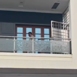 Gang Impersonating Police Robs ₹20 Lakh Cash and Gold from Real Estate Businessman’s House in BEL Layout